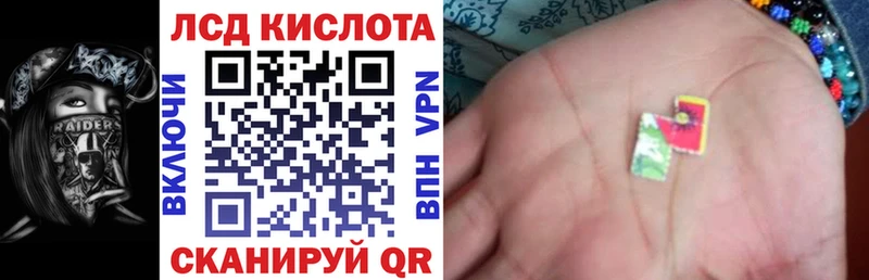 Купить закладки  Закаменск  Наркотические марки 1,5мг 