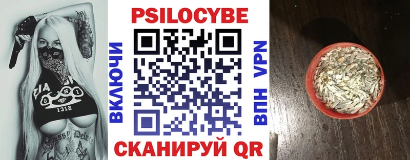 Псилоцибиновые грибы GOLDEN TEACHER  Купить закладки  Закаменск 